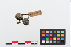 Foto von Glasaugenperle (NHMW-PRAE-024345)